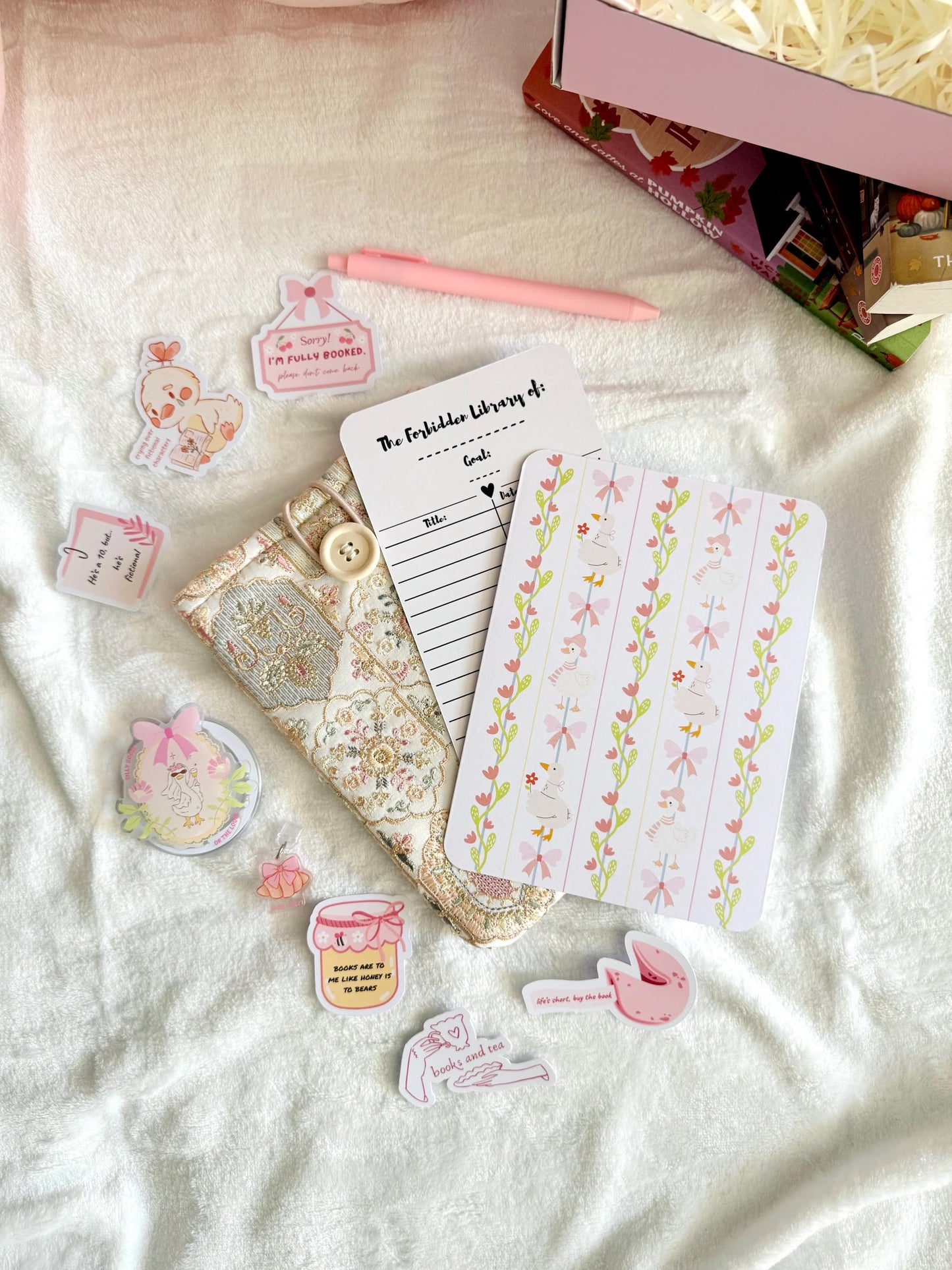 Silly Goose- Decorate My E-Reader Box